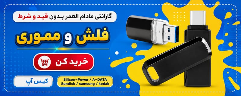 flash memory 11